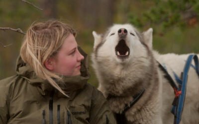 Movie Review: ‘Folktales