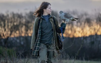 Movie Review: ‘H Is For Hawk’