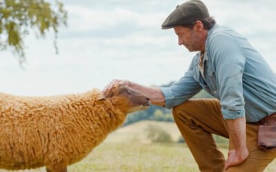 Movie Review: ‘The Sheep Detectives’